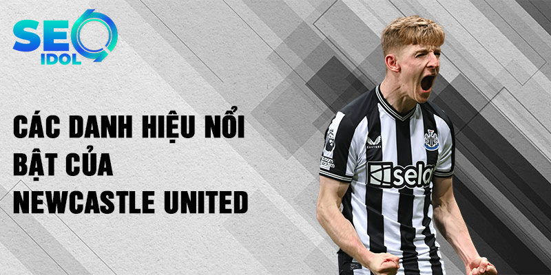 Các danh hiệu nổi bật của Newcastle United